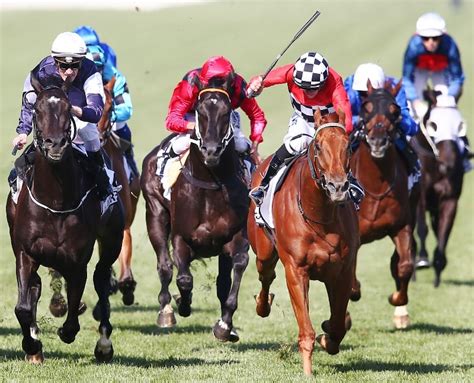 kingston town classic field